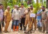 Bupati Jayapura Canangkan Penanaman 1.000 Pohon Sagu Oleh PKB GKI Klasis Sentani