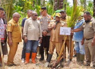 Bupati Jayapura Canangkan Penanaman 1.000 Pohon Sagu Oleh PKB GKI Klasis Sentani